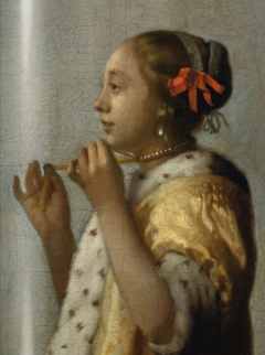vermeer1.png