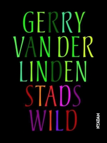 bert schierbeek,gerry van der linden,poésie,poëzie,nederland,pays-bas,geert lubberhuizen,remco campert